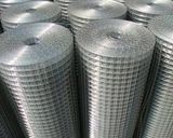 Welded Wire Mesh