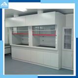 Professional High Level Technology Fume Hood in Biology Laboratory