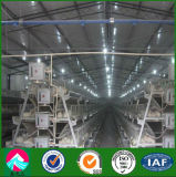 China Supplier Steel Structure Poultry House