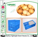 Logo Printing Plastic Egg Crate for Egg Packaging