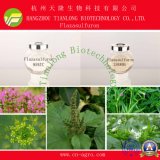 Highly Effective Herbicides Flazasulfuron (95%TC, 25%WDG)