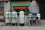 Factory 3000L Hot Sale Outdoor/Indoor RO Water Filter