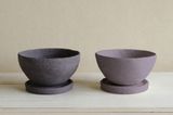 Biodegradable Plant Pots