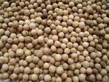 White Pepper