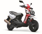 Motorcycle (BRG50QT-8/125T-8/150T-8)