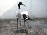 Simulation Feather Red-Crowned Cranes