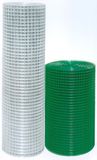 Galvanized Welded Wire Mesh