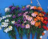 Long Sterm Artificial Flowers