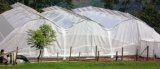 Effective Anti Insects Netting