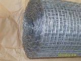 Hardware Cloth/Galvanized Square Wire Mesh (JCSW001)