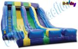 Simple Double Inflatable Slide