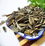Chinese Health Food Sunflower Seed