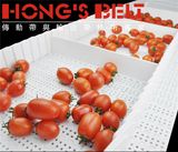 Modular Conveyor Belt for Fruit Industry with Cleats