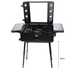 Black Cosmetic Trolley with Light S and Mirrror