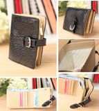 Fashion PU Shining Wallet (U080501)