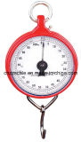 200kg Mechanical Weighing Scale (ZZG-104)