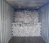 Poultry Netting (003)