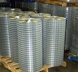 Welded Wire Mesh (14#-23#)