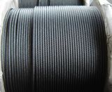 Line Contact Wire Rope, Ungalvanized and Galvanized 6*25fi+FC