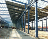 Light Steel Workshop/Industrial Steel Buildings