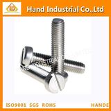 Stainless Steel Slot Csk Head Fasteners Machine Screws