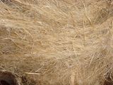 Raw Hemp Fiber