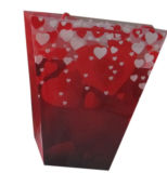 Plastic Printed Bouquet Bags