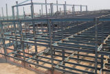 Steel Frame Structure (HV028)