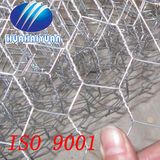 Chicken Wire Mesh (HHY-LIUJIAOWANG)