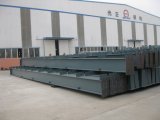 Prefabricated Steel Structure Building (SSW-1002)