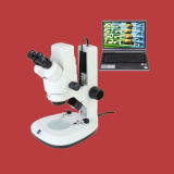 Digital Microscope (DM-XTL7045)