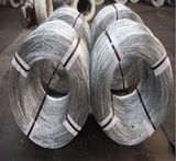 Oval Galvanized Wire (2.40 x 3.00mm) 