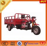 Cargo Tricycle with 1.6*1.25 Cargo Box /Motorized Tricycle in 2015