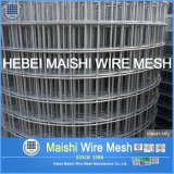 1/4 Inch Welded Wire Mesh
