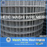 1/4 Inch Welded Wire Mesh