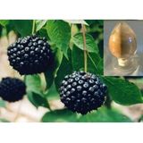 Siberian Ginseng Extract