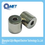 Custom Motor Neodymium Material Ring Magnet