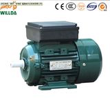 Home Electric Motor