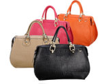 New Style Luxury Patent Leather Lady Handbags, Shoulder Bag Tote Bag (CC5198)