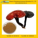 GMP Manufacture Supply 100% Natural Ganoderma Lucidum Extract/Reishi Mushroom Extract Polysaccharides 10%-50%