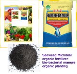 Seaweed Bio Organic Fertilizer