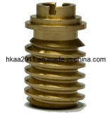 Custom Machining Bronze Brass Worm Gear