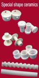 Special Shape Ceramic Products