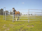Oval Rail Livestock Horse Corral Yard Panels Fence