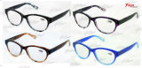 Hot Selling Plastic Eyewear Frames