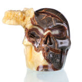 Natural Geode Turtlelike Jasper Human Skull Crystal Healing #0V13