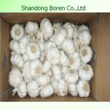 2015 Natural Garlic Harmless From Shandong Boren