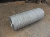 Hot DIP Galvanized Iron Hexagonal Wire Netting