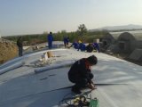 Tpo Waterproofing Material for Roofing