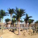 Hot Sale Artificial King Coconut Tree for Decorative Plant